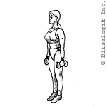 Biceps Curl Dumbbell exercises for biceps muscles