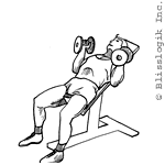 incline bench press neutral grip dumbbell exercises for chest