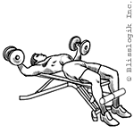 lying fly dumbbell exercises for chest