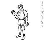 alternated biceps curl dumbbell exercises for biceps