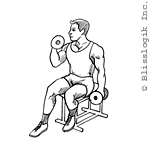 seated alternated biceps curl dumbbell exercises for biceps