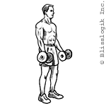 Dumbbell exercises for bicep muscles
