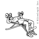 bench press best dumbbell exercises for chest