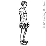 reverse lunge dumbbell exercises for legs