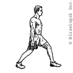 stationary lunge dumbbell exercises for legs