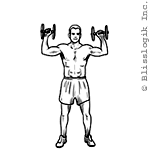 shoulder press best dumbbell exercises for shoulders