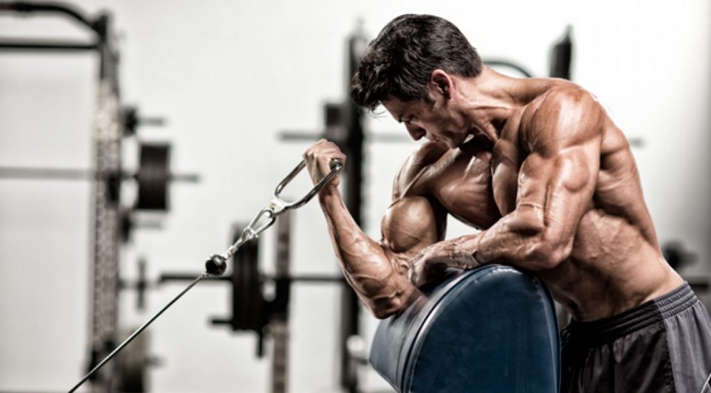 Best basic and isolation biceps exercises for all bodybuilders - Blog ...