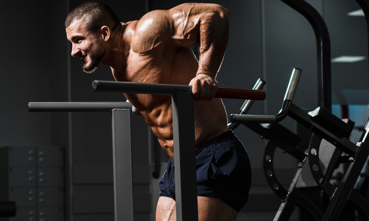 Perfect Dips: which muscles work + scheme - Blog about fitness and ...